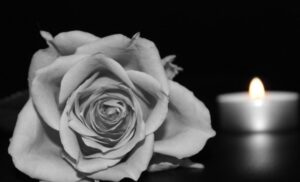 smutne pożegnanie róża