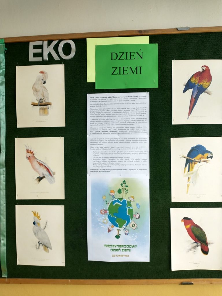 Na zdjęciu widzimy gazetkę ścienną, która przedstawia okolicznościowy tekst i kolorowy plakat z napisem Międzynarodowy Dzień Ziemi -22 kwietnia oraz 6 kolorowych rysunków papug zagrożonych wyginięciem.