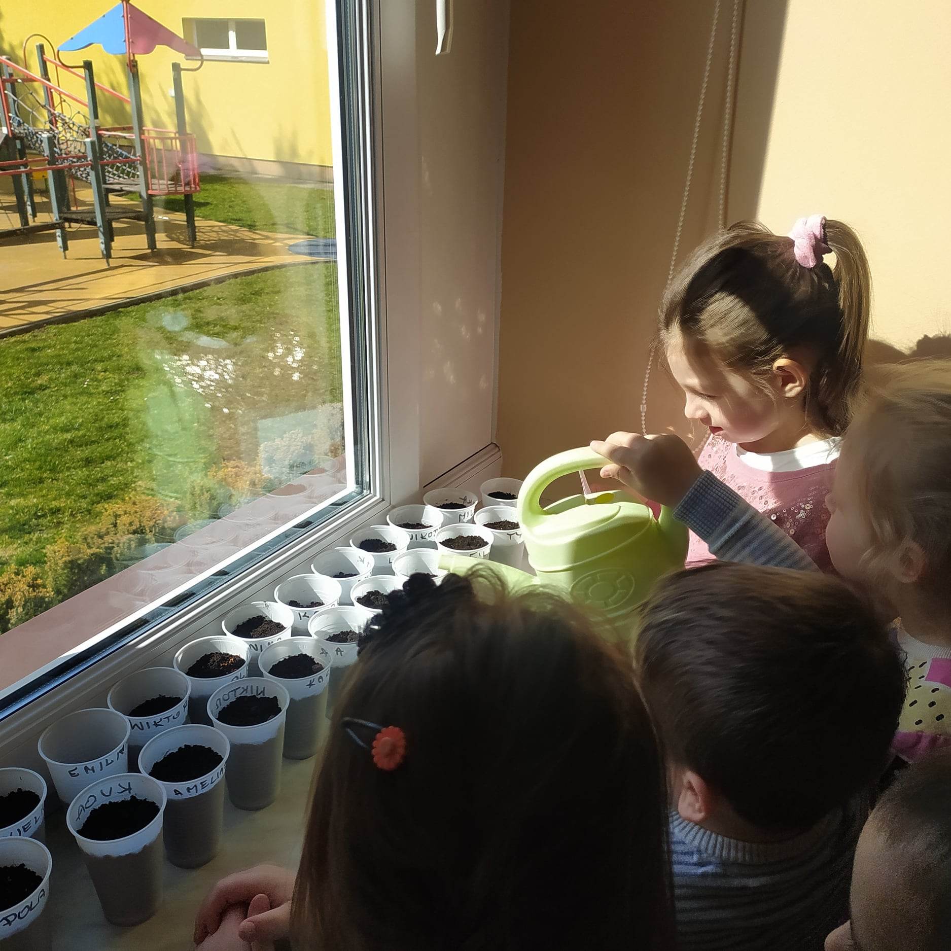 Dzieci podlewają rzeżuszkę z konewki. Roślinki są umiejscowione na parapecie okna.
